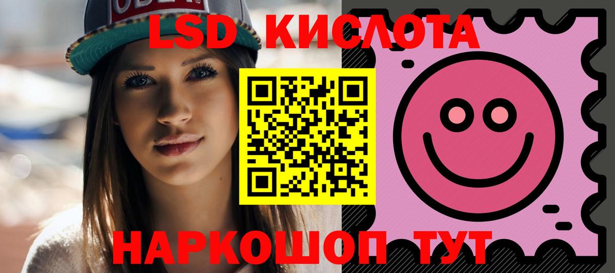 Галлюциногенные грибы Елец