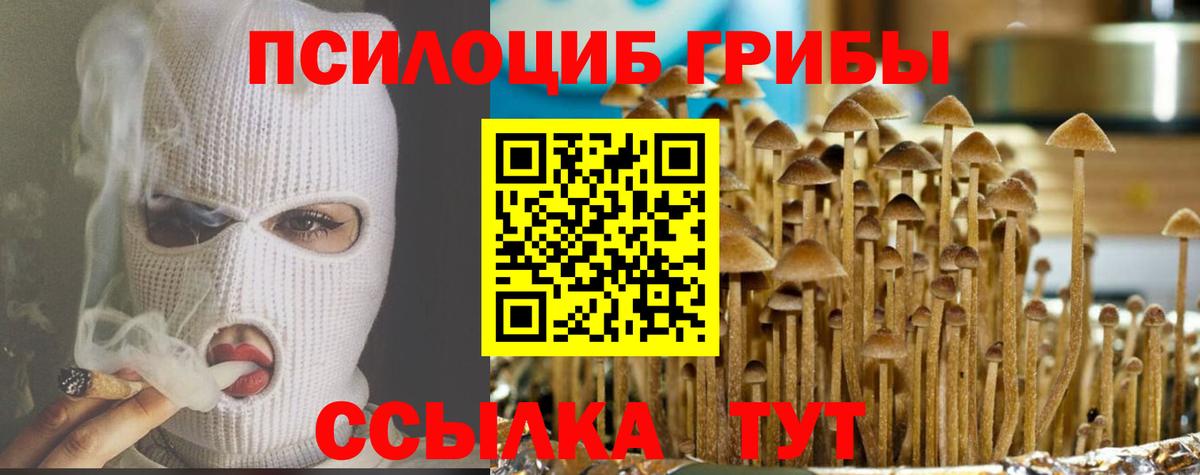 Елец  Псилоцибиновые грибы ЛСД  Вход с VPN 