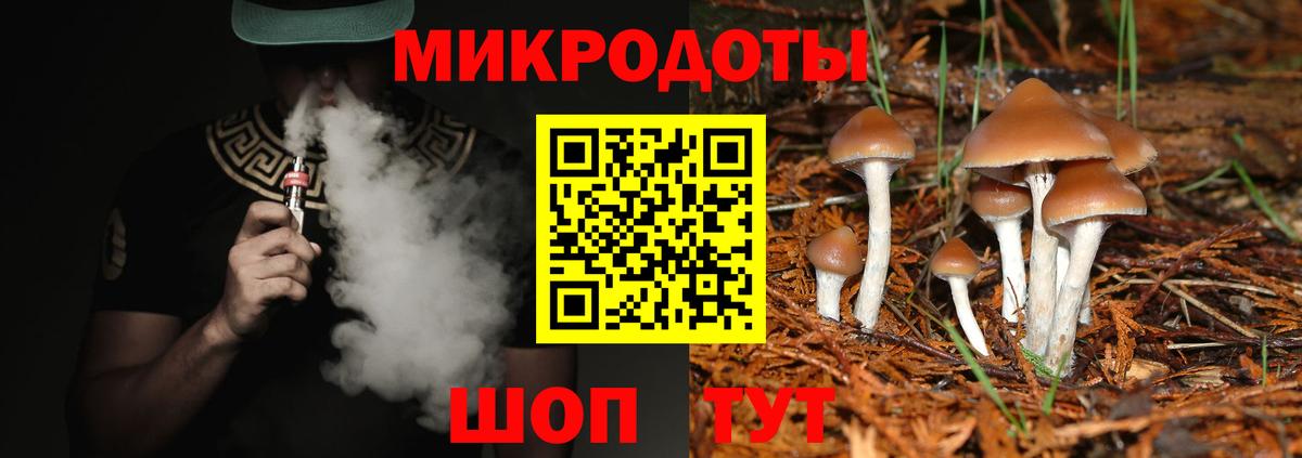 Галлюциногенные грибы Psilocybine cubensis Елец